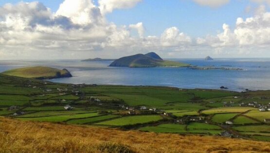 Why Ireland