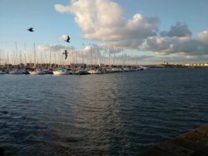 Dublin's Beautiful Beaches_Howth