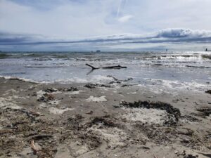Dublin's Beautiful Beaches_North Bull Island