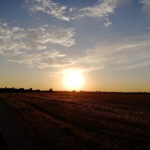 Sundowner