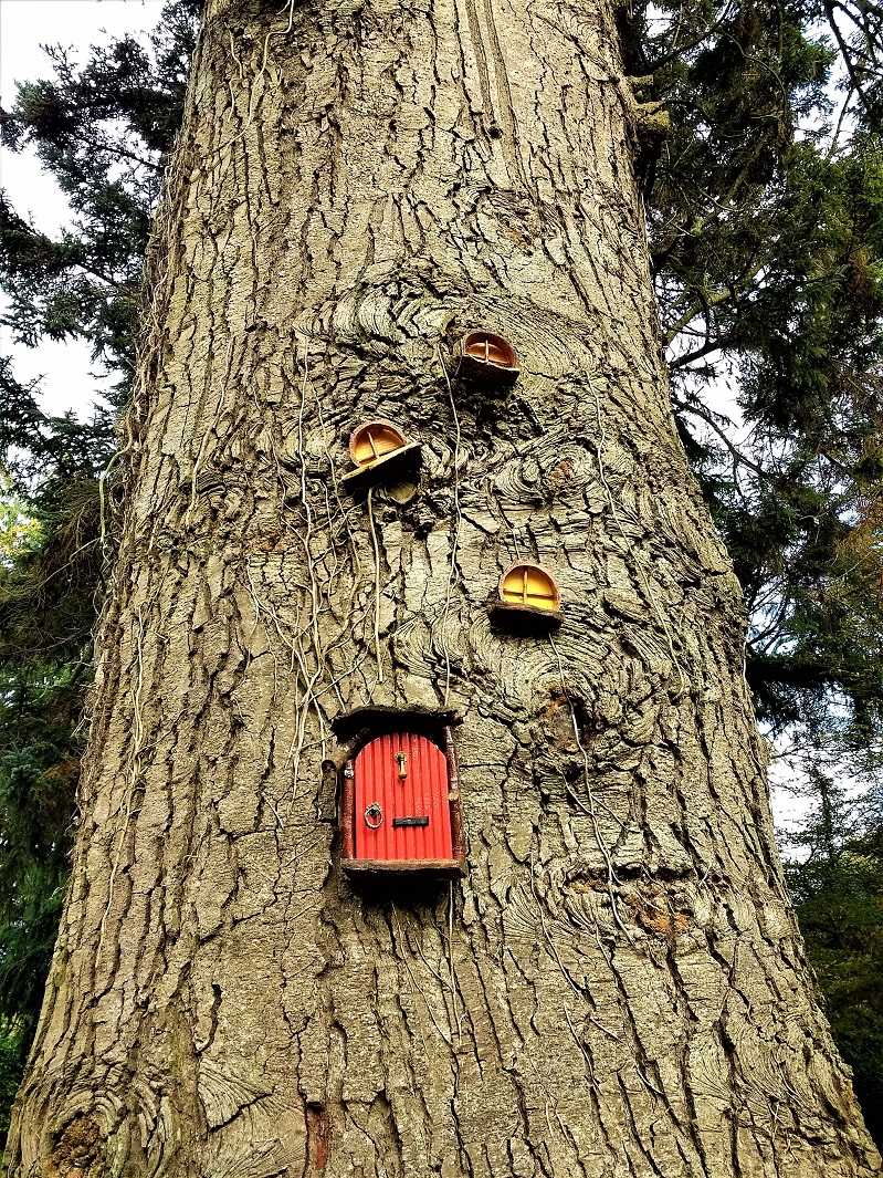 Fairy Tree