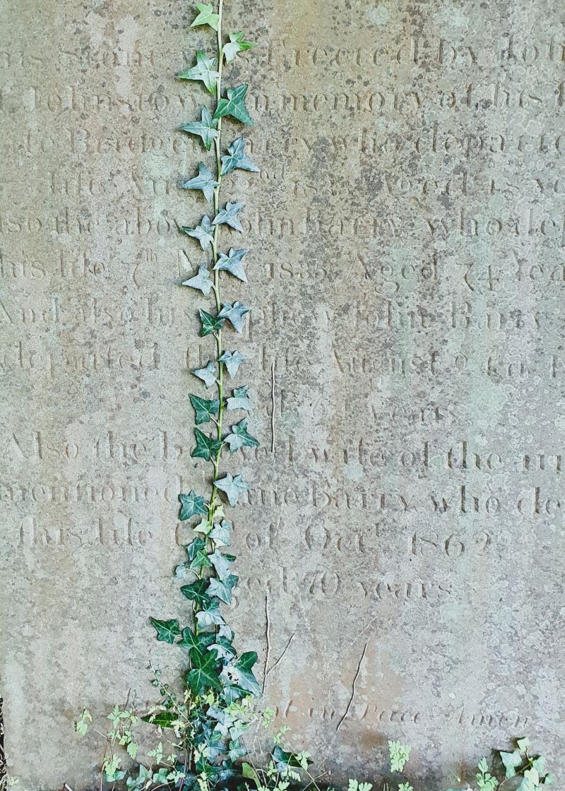 Ivy Art_Kilquade