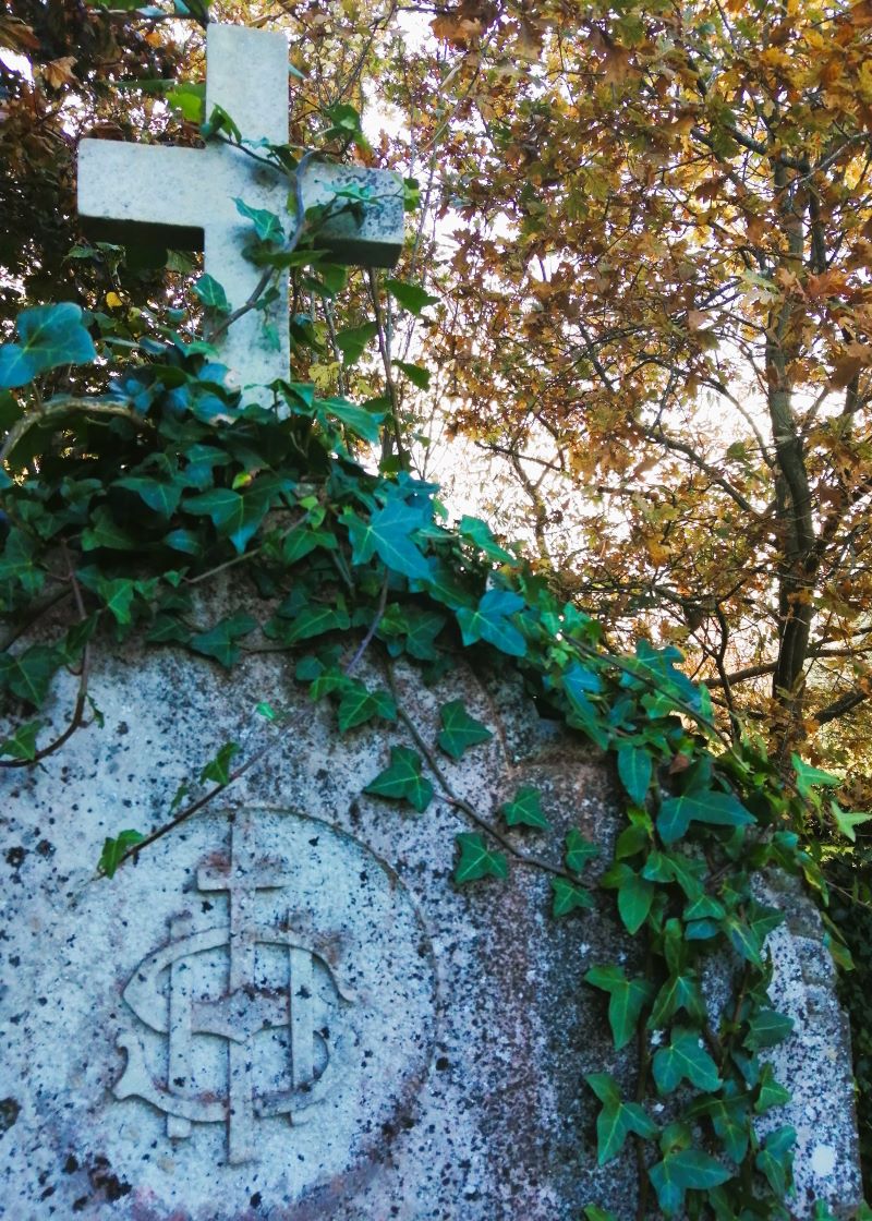 Ivy Art_Kilquade
