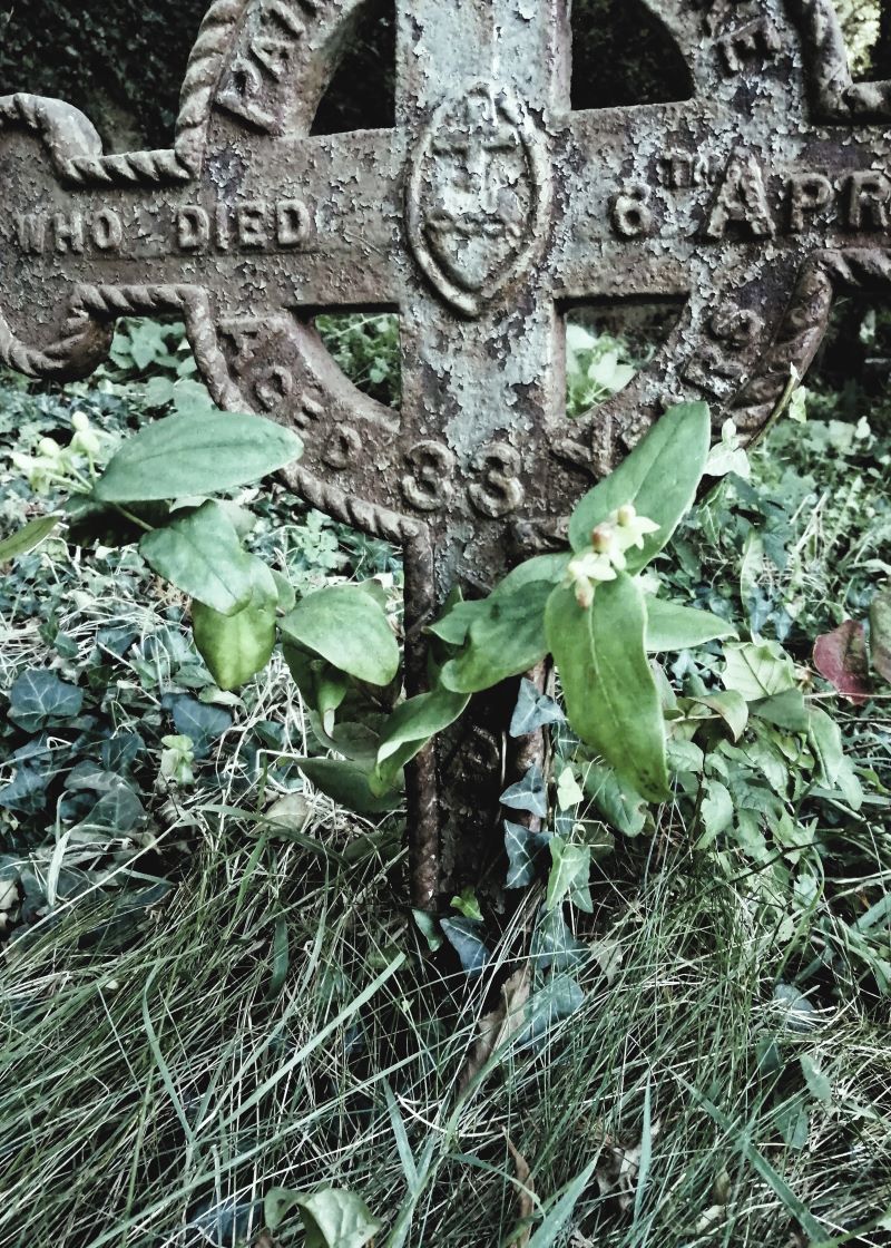 Remembered and Forgotten_Kilquade