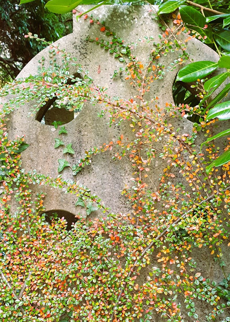 Remembered and Forgotten_Kilquade