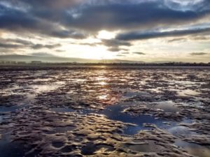 Dublin's Beautiful Beaches_Sandymount